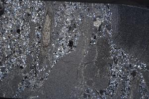 Cross Polarized, E61154