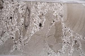 Plane Polarized, E61154