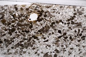 Plane Polarized, E61155