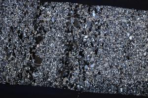 Cross Polarized, E61157