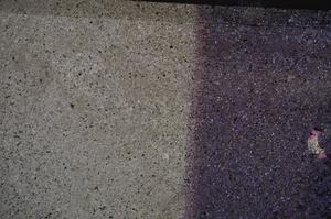 Cross Polarized, E61161