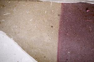 Plane Polarized, E61170