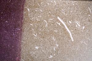 Plane Polarized, E61174