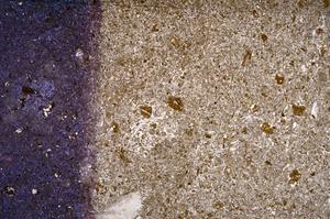 Plane Polarized, E61179