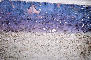 Plane Polarized, E61184