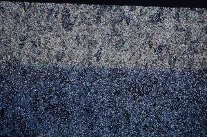 Cross Polarized, E61185