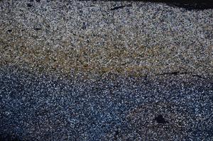 Cross Polarized, E61188