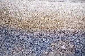 Plane Polarized, E61188