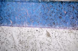 Plane Polarized, E61189