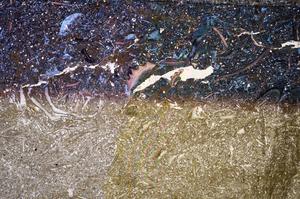 Plane Polarized, E61190