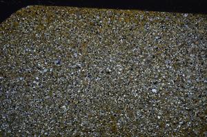 Cross Polarized, E61246