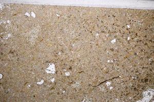 Plane Polarized, E61274