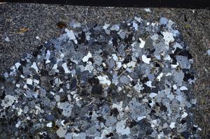 Cross Polarized, E61275