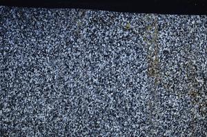 Cross Polarized, E61301