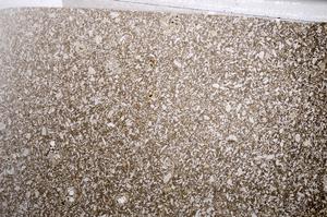 Plane Polarized, E61408