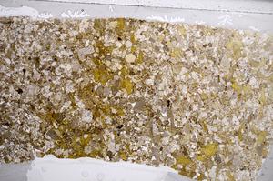 Plane Polarized, E61431