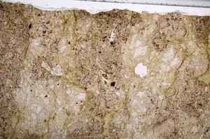 Plane Polarized, E61438