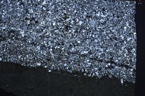 Cross Polarized, E61459