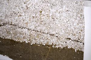 Plane Polarized, E61459