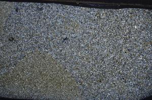 Cross Polarized, E61564