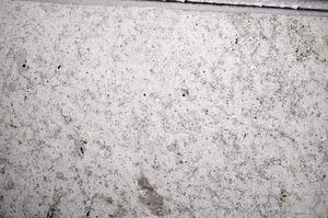 Plane Polarized, E61569