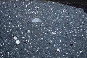 Cross Polarized, E61594