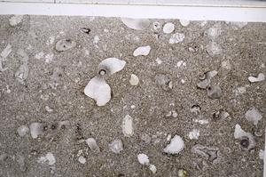 Plane Polarized, E61968