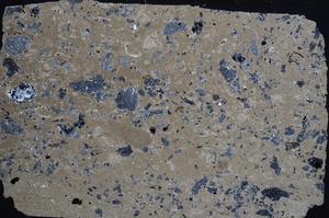 Cross Polarized, E61980