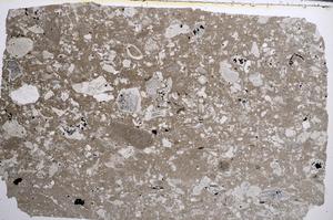 Plane Polarized, E61980