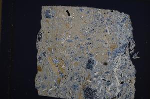 Cross Polarized, E61981