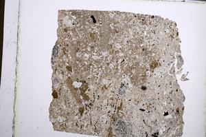 Plane Polarized, E61981