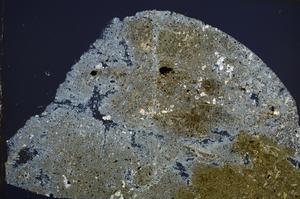 Cross Polarized, E61983