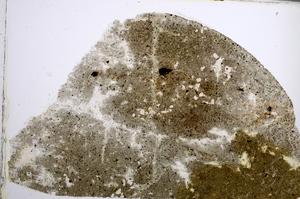 Plane Polarized, E61983