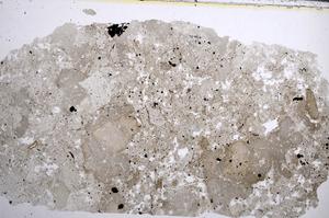 Plane Polarized, E61984