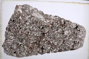 Plane Polarized, E61989/A