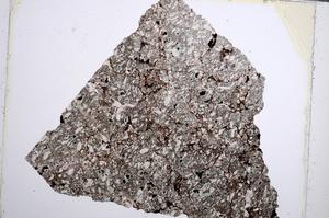 Plane Polarized, E61989/B