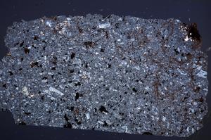 Cross Polarized, E61990/A