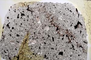 Plane Polarized, E61990/B