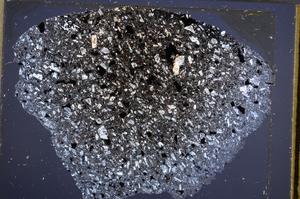 Cross Polarized, E61991