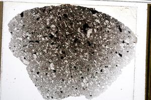 Plane Polarized, E61991