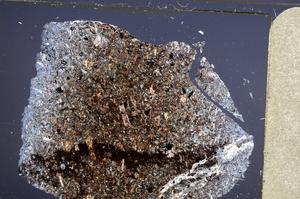 Cross Polarized, E61992