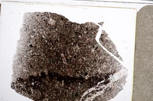 Plane Polarized, E61992