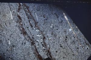 Cross Polarized, E61993