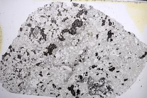 Plane Polarized, E61994/A