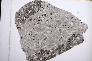 Plane Polarized, E61995/A