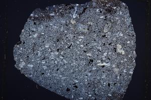 Cross Polarized, E61995/B