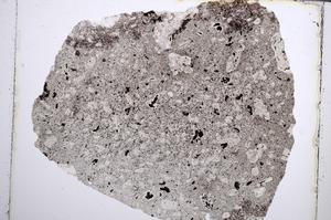 Plane Polarized, E61995/B