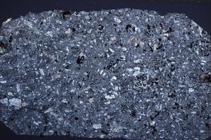 Cross Polarized, E61996/A