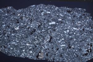 Cross Polarized, E61996/B