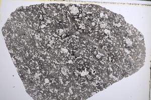 Plane Polarized, E61997/A